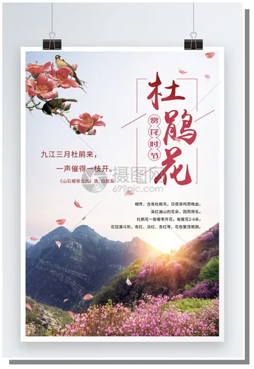 《杜鹃山》代表海报